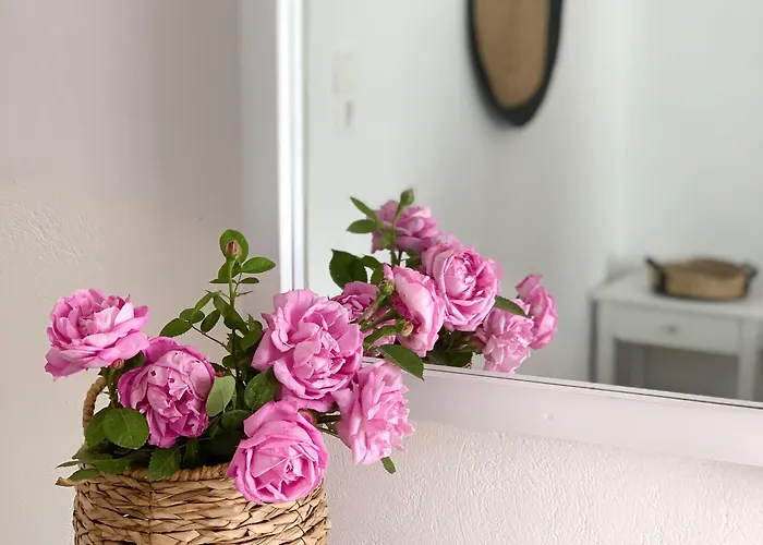 Hotel apartamentowy Drakos Twins Mylopotas