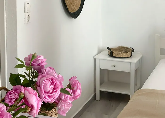 Hotel apartamentowy Drakos Twins Mylopotas