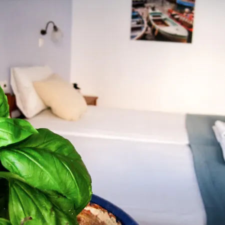 Drakos Twins Milopótasz