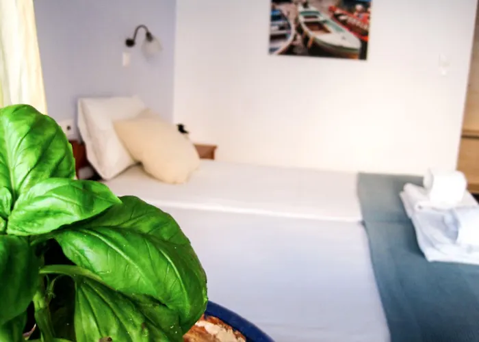 Drakos Twins Μυλοπότας